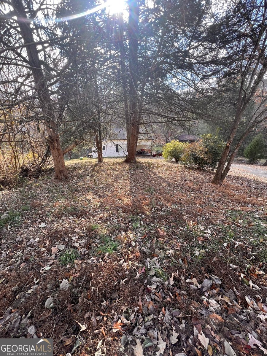 1083 Morrison Moore Parkway Dahlonega - 11