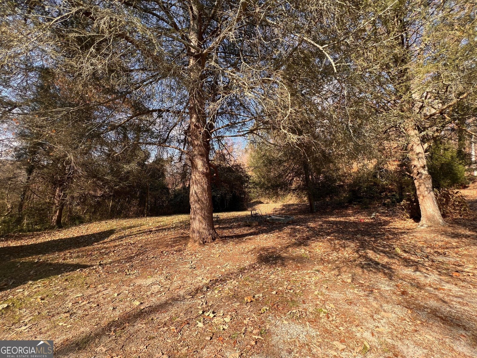 1083 Morrison Moore Parkway Dahlonega - 48