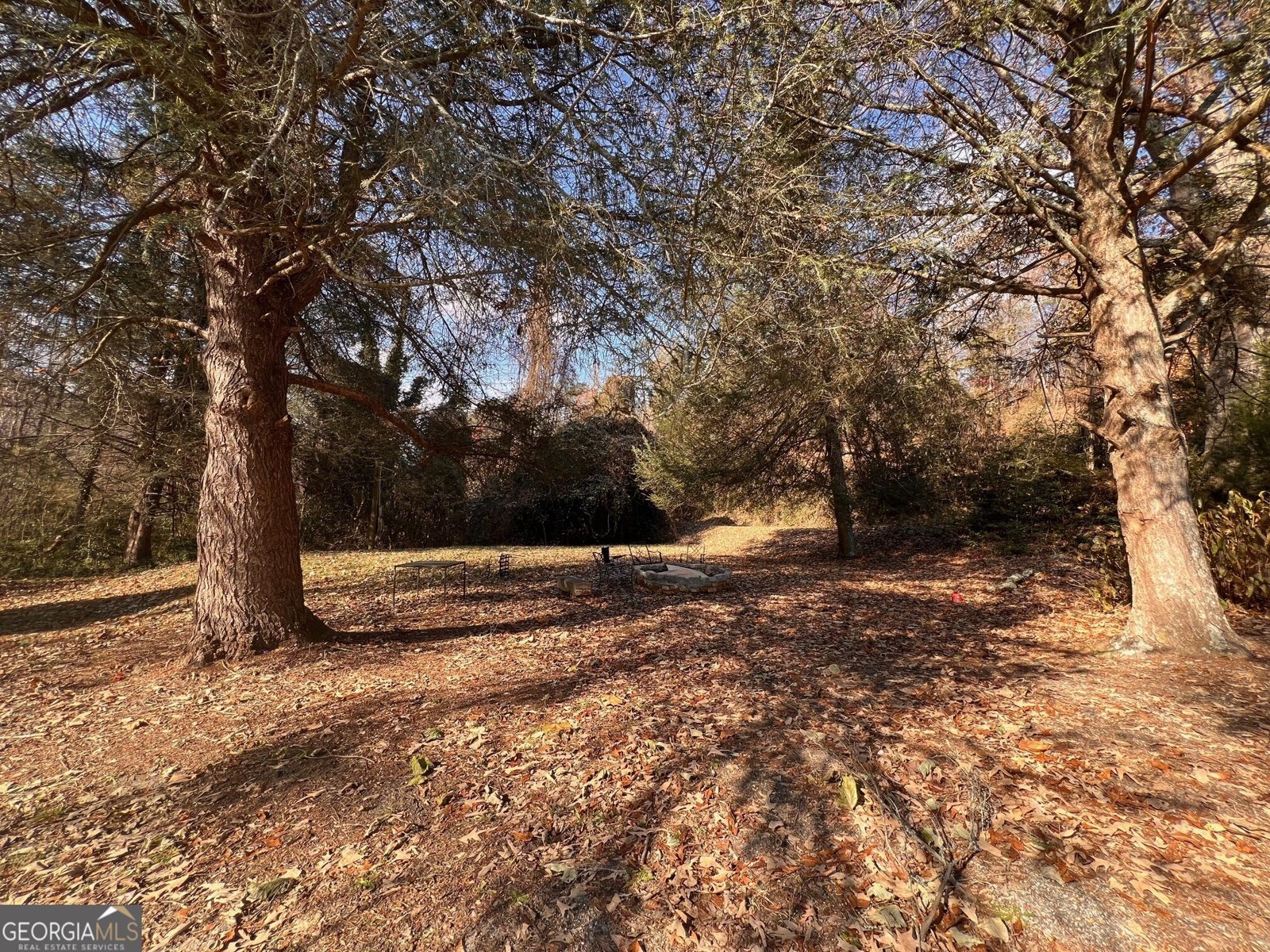 1083 Morrison Moore Parkway Dahlonega - 49
