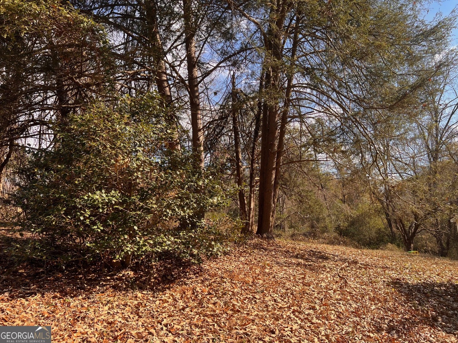 1083 Morrison Moore Parkway Dahlonega - 52
