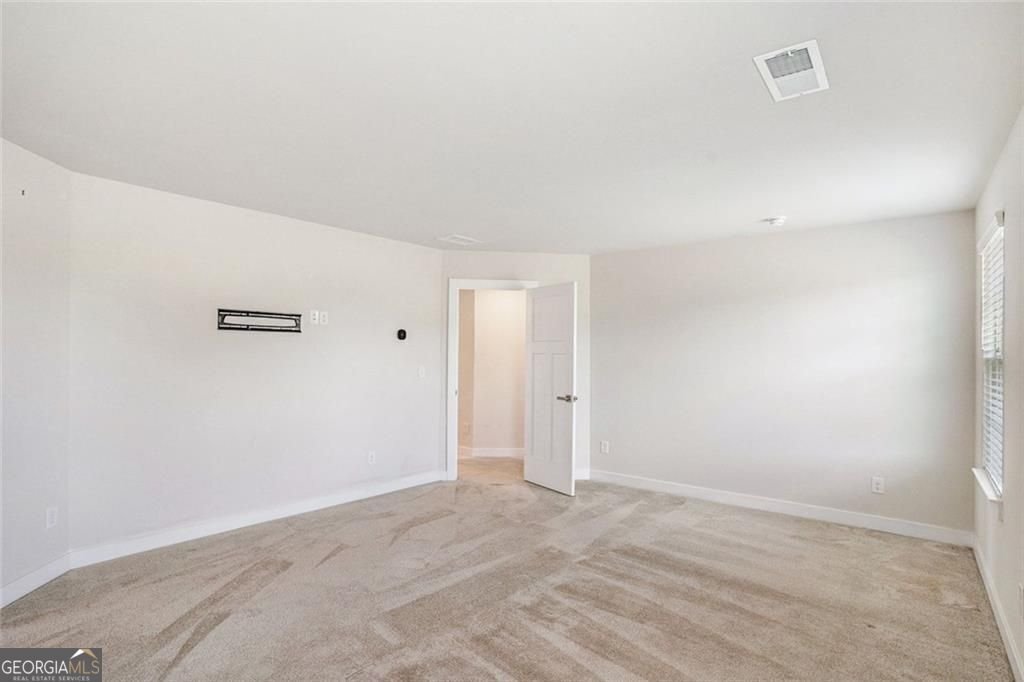 467 Daffodil Lane Mcdonough - 19