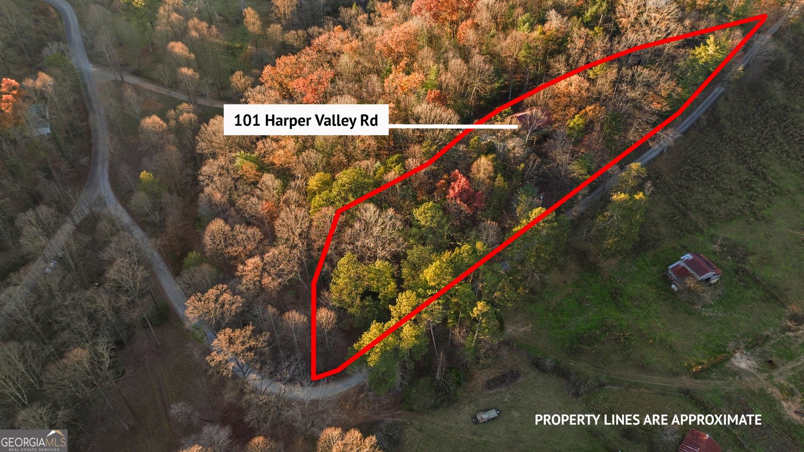 101 Harper Valley Road Ellijay - 53