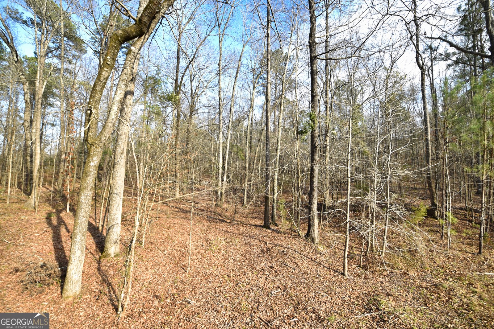 2477 Upper Big Springs Road Lagrange - 89