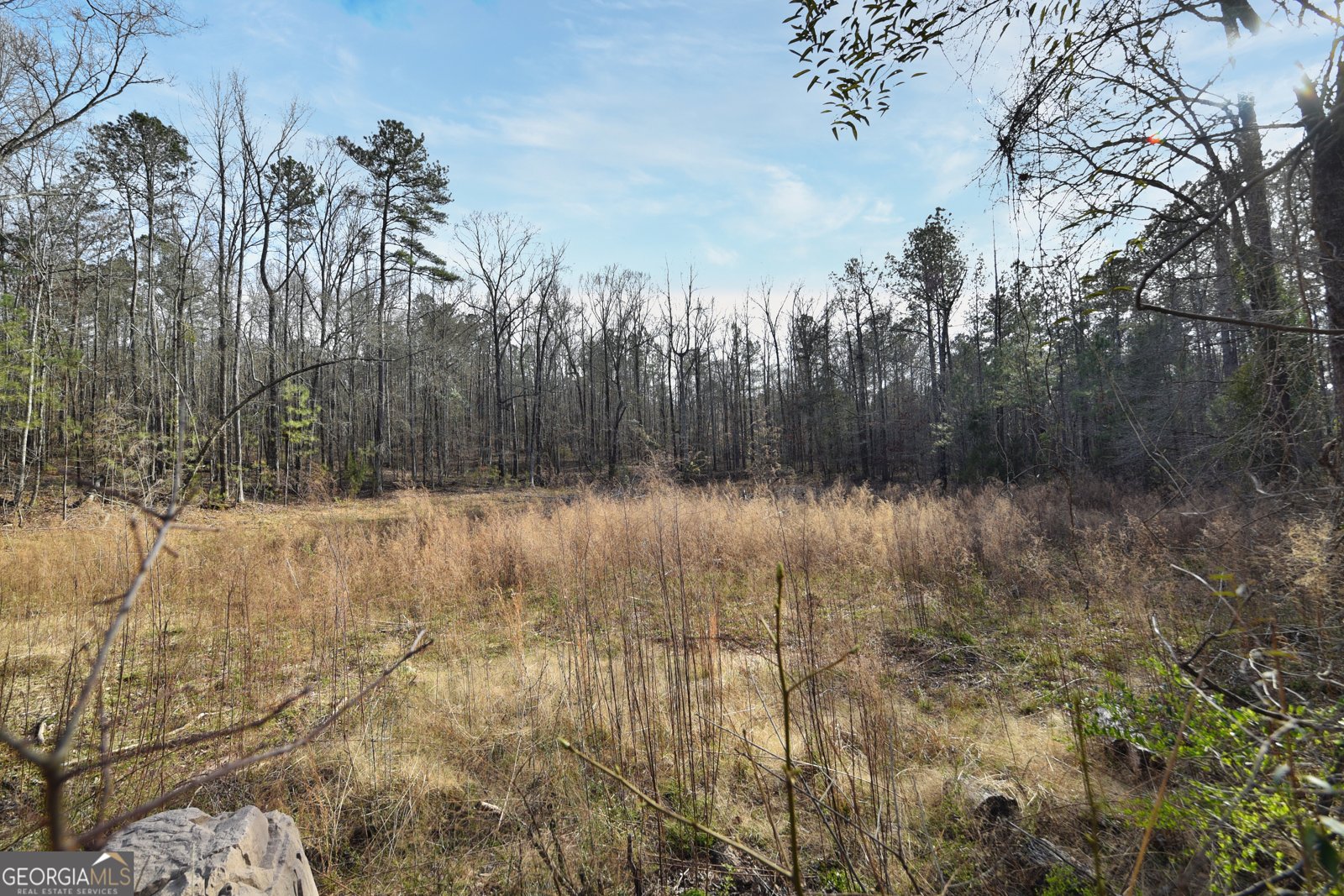 2477 Upper Big Springs Road Lagrange - 92