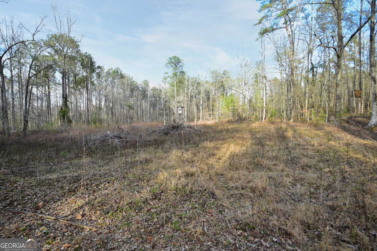 2477 Upper Big Springs Road Lagrange - 98