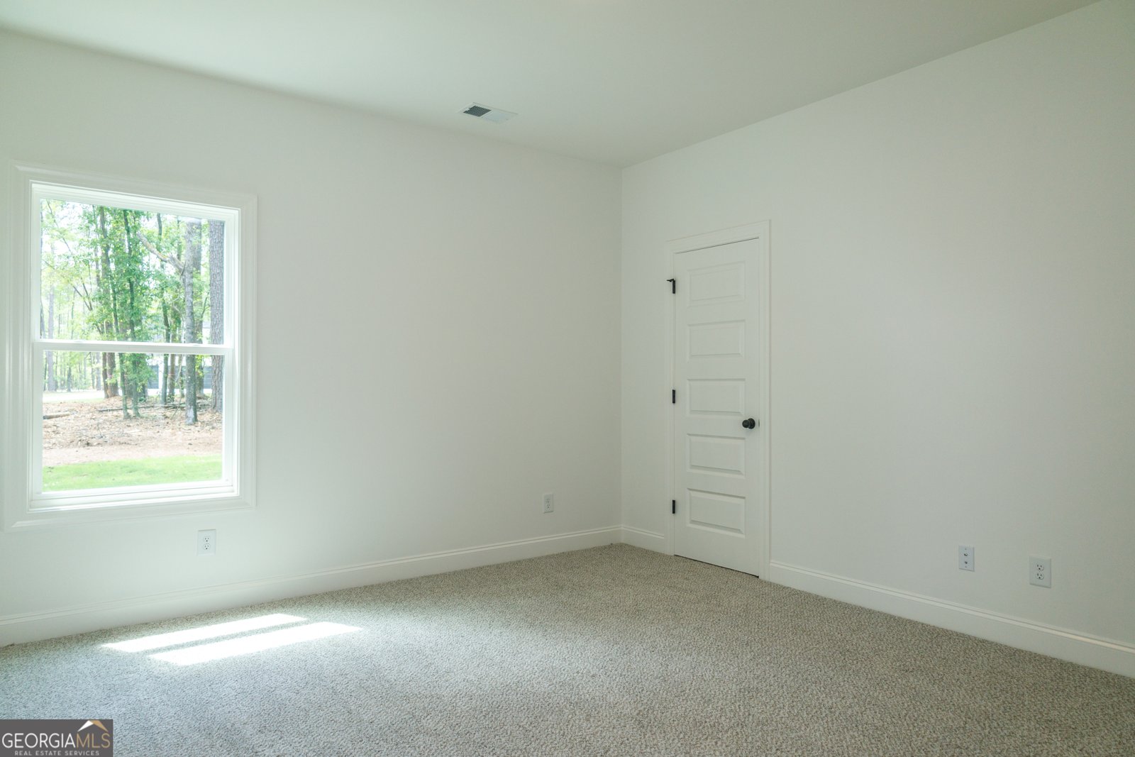95 Old Mill Way Senoia - 11