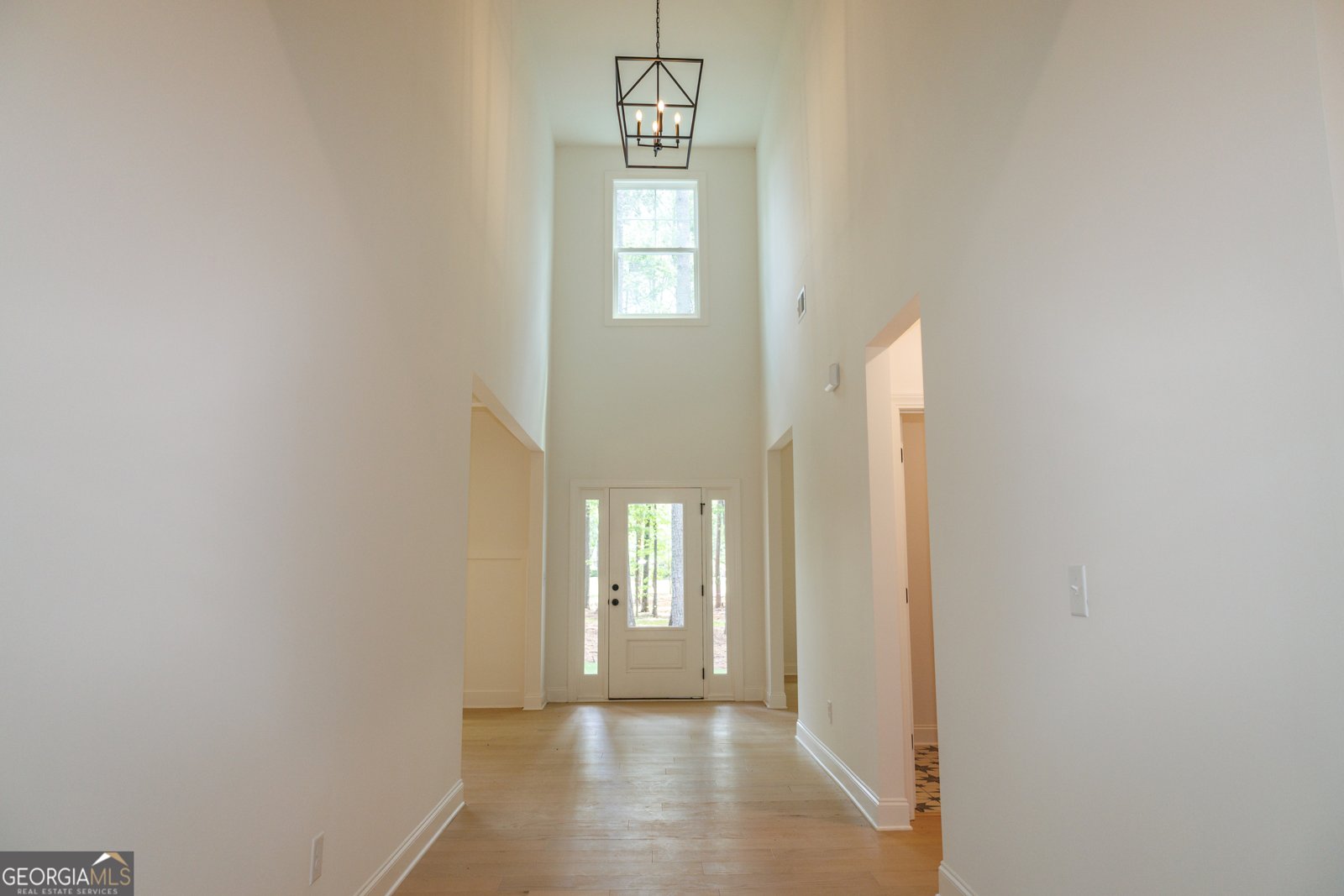 95 Old Mill Way Senoia - 12