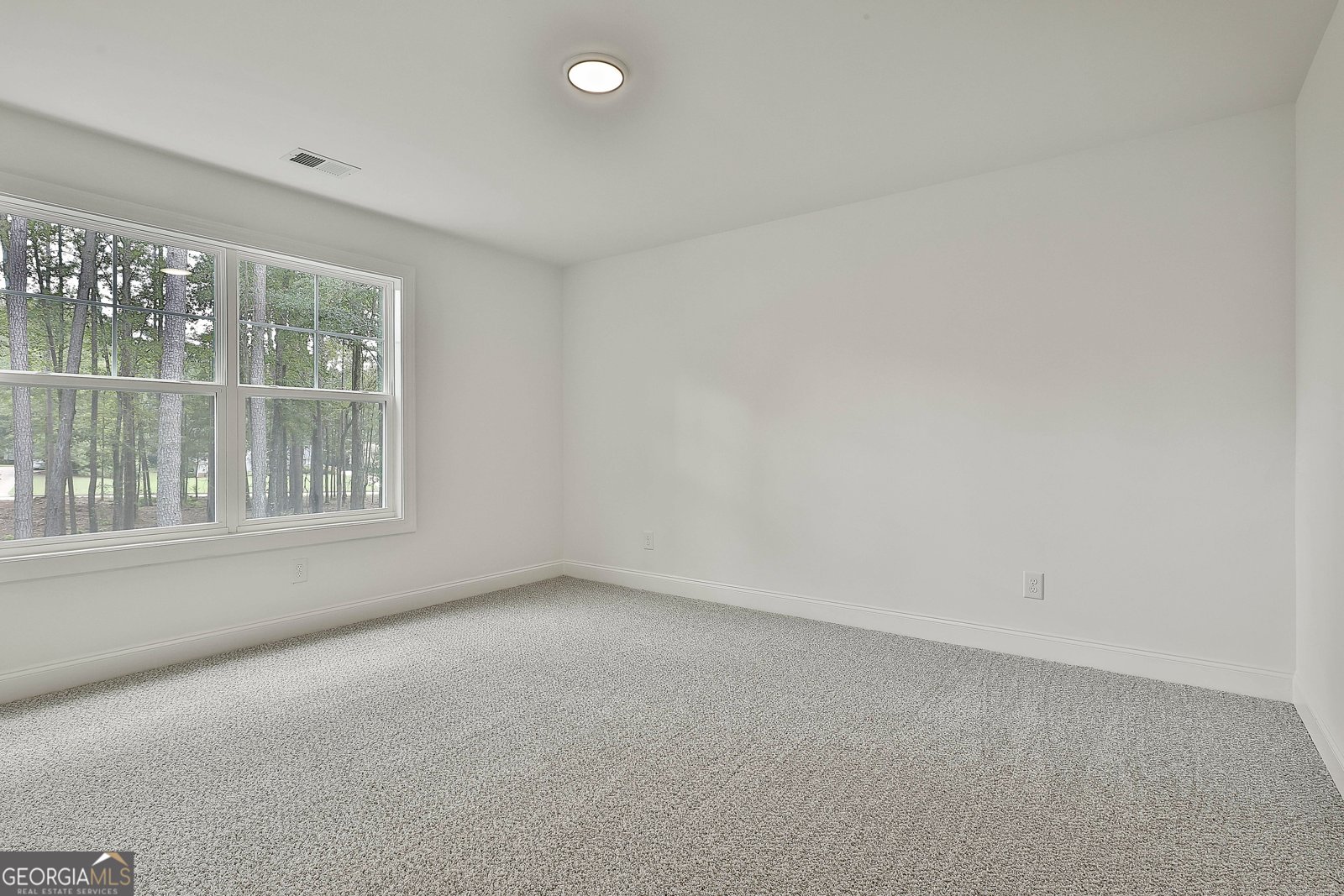 95 Old Mill Way Senoia - 43