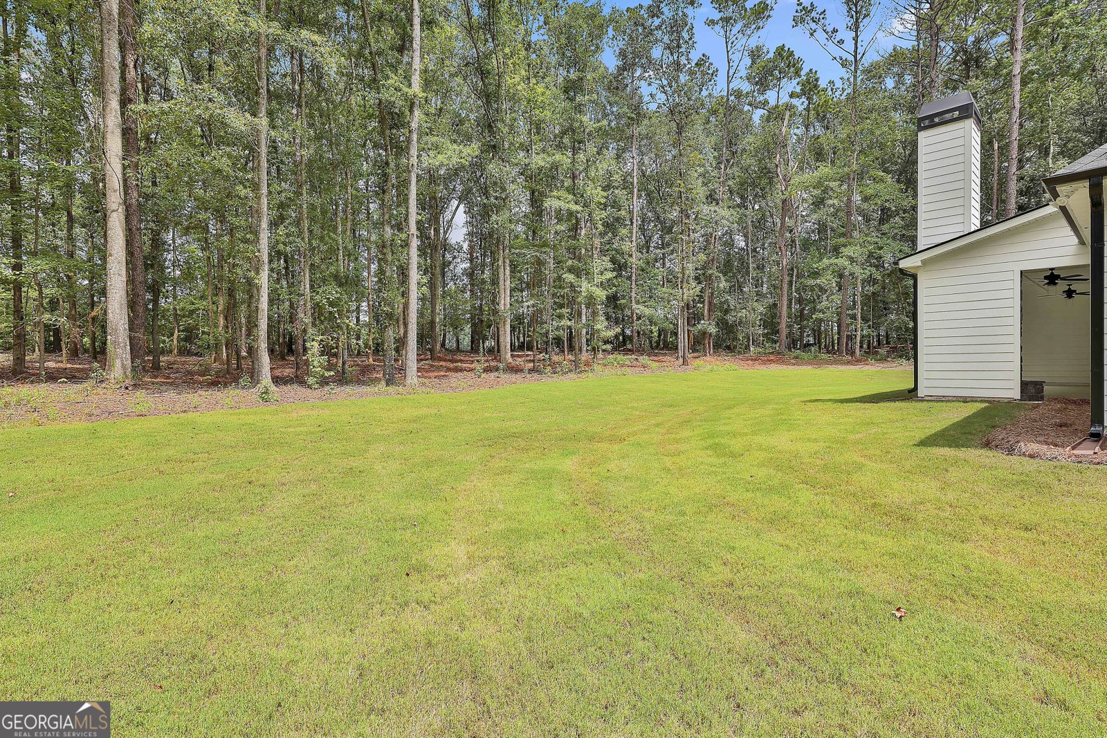 95 Old Mill Way Senoia - 46
