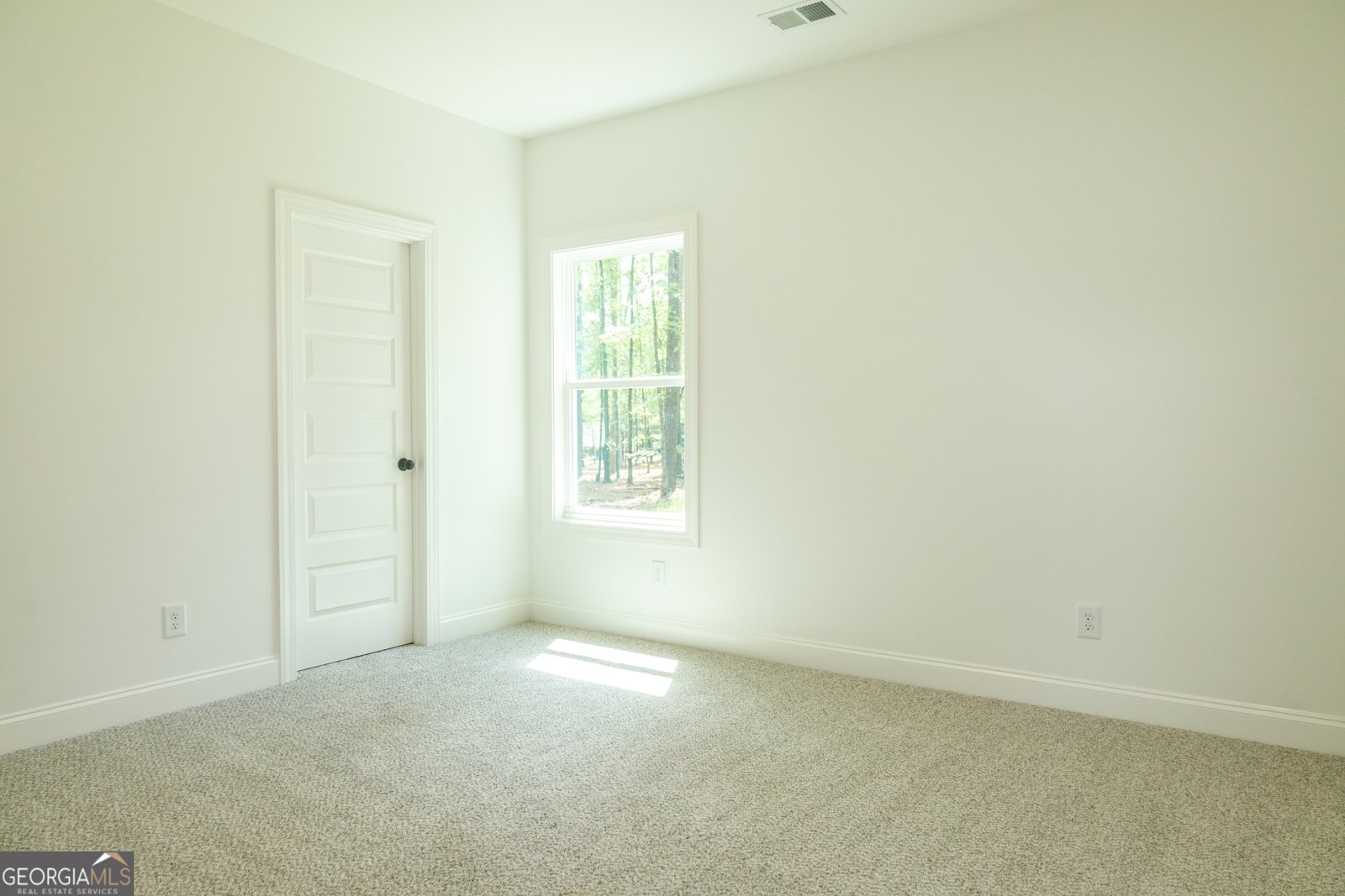 95 Old Mill Way Senoia - 8