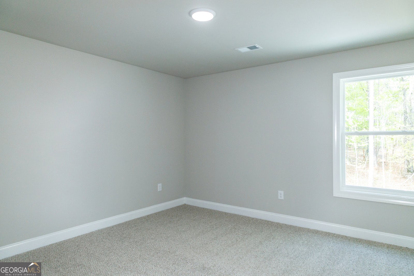 135 Old Mill Way Senoia - 34