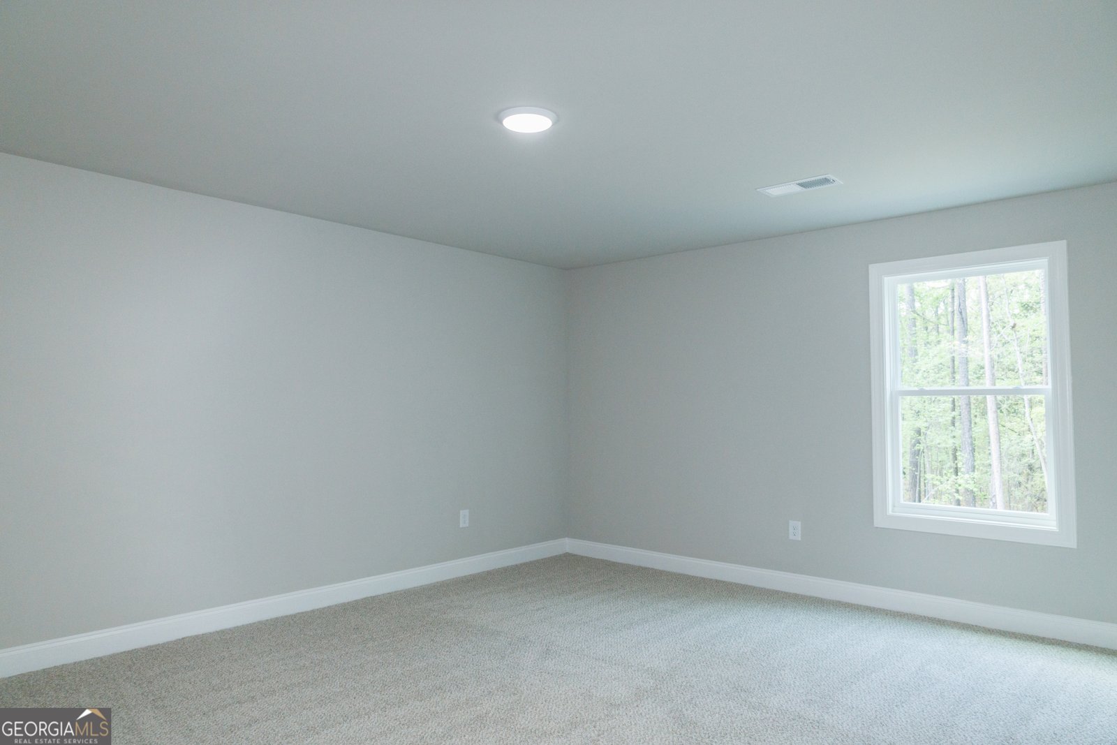 135 Old Mill Way Senoia - 35