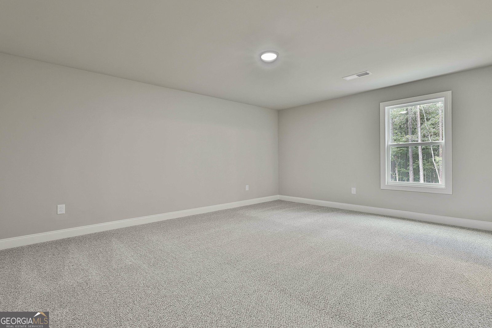 135 Old Mill Way Senoia - 40