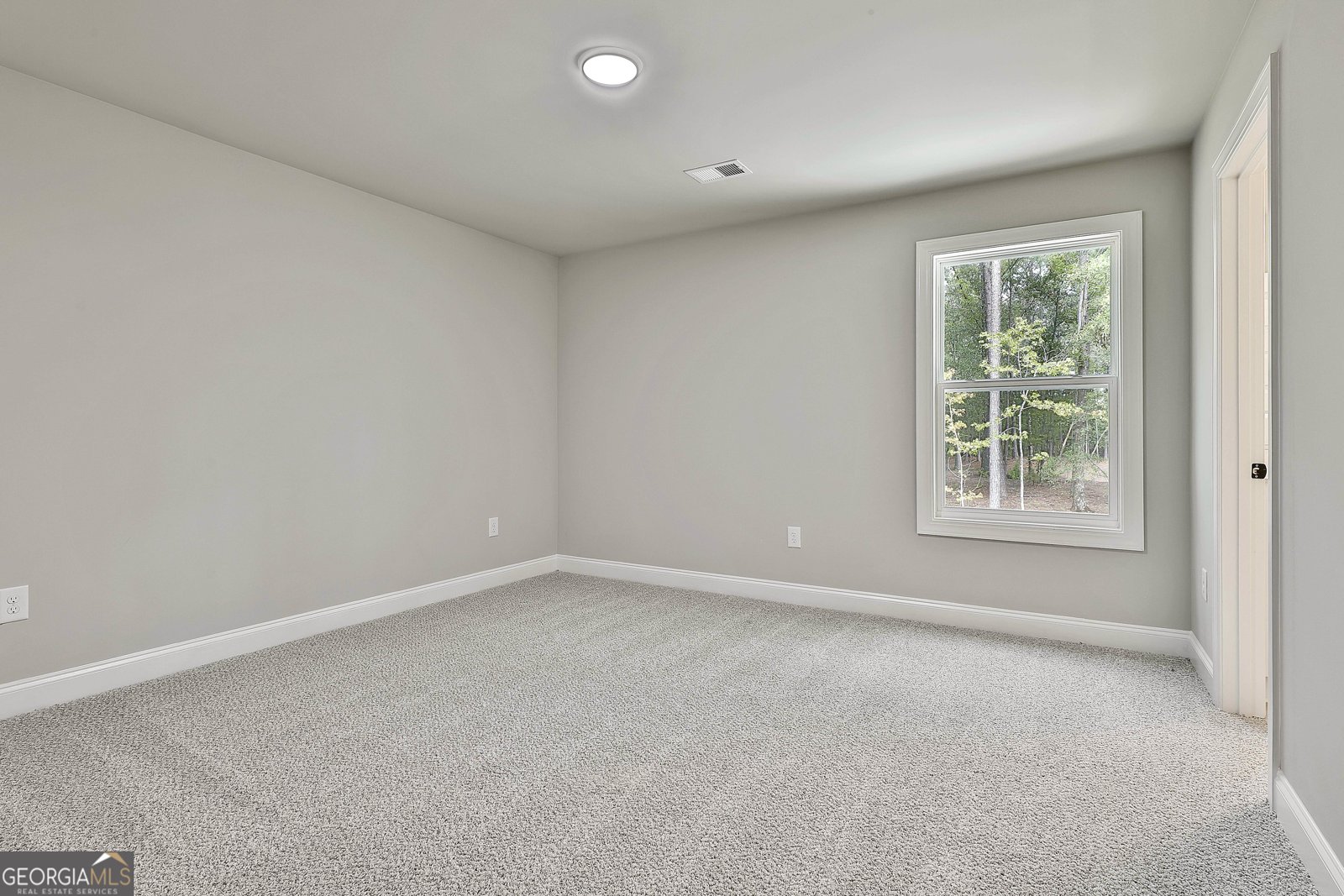 135 Old Mill Way Senoia - 47