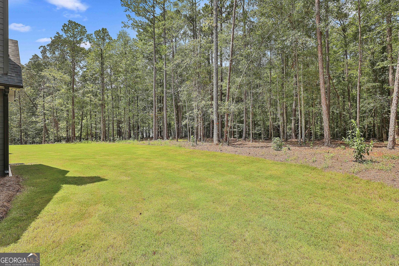 135 Old Mill Way Senoia - 52