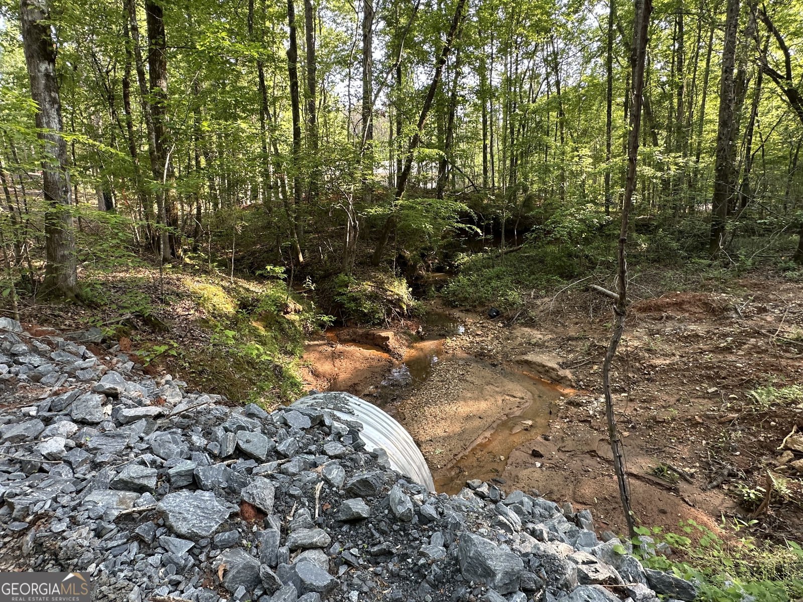 367 Cherokee Trail Forsyth - 10