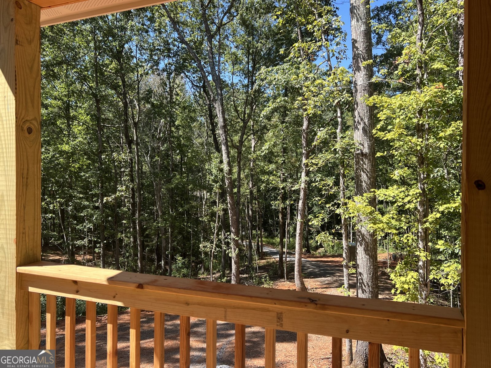 367 Cherokee Trail Forsyth - 14