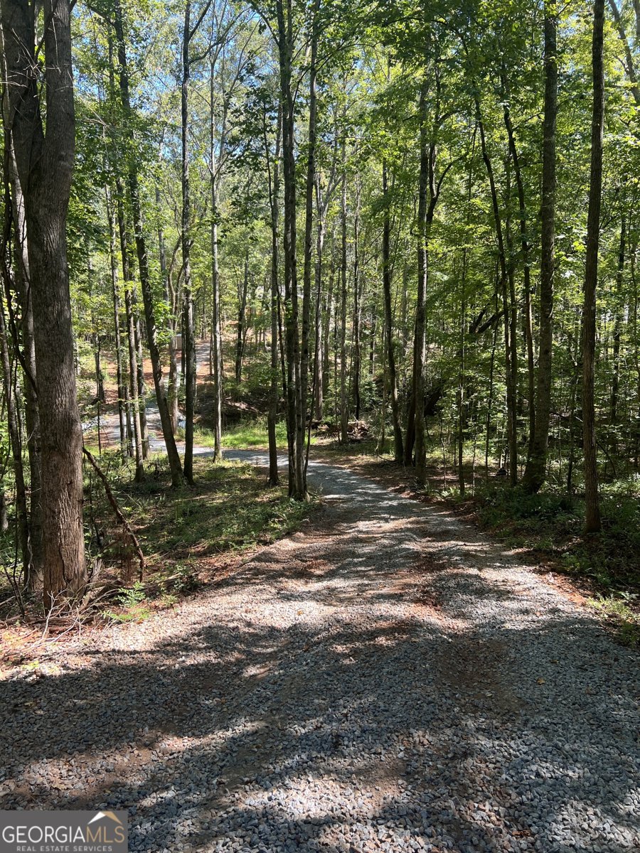 367 Cherokee Trail Forsyth - 23