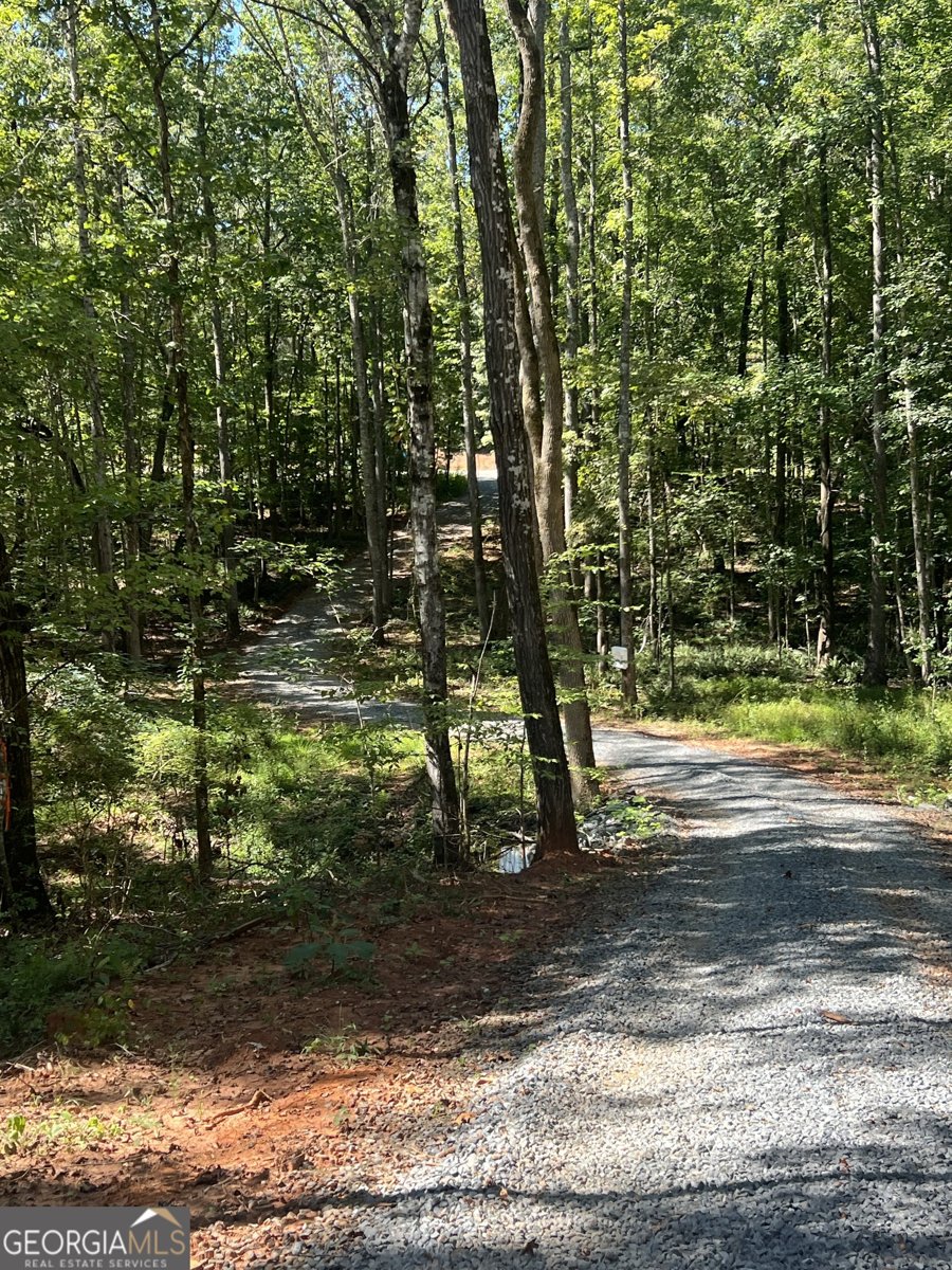367 Cherokee Trail Forsyth - 26