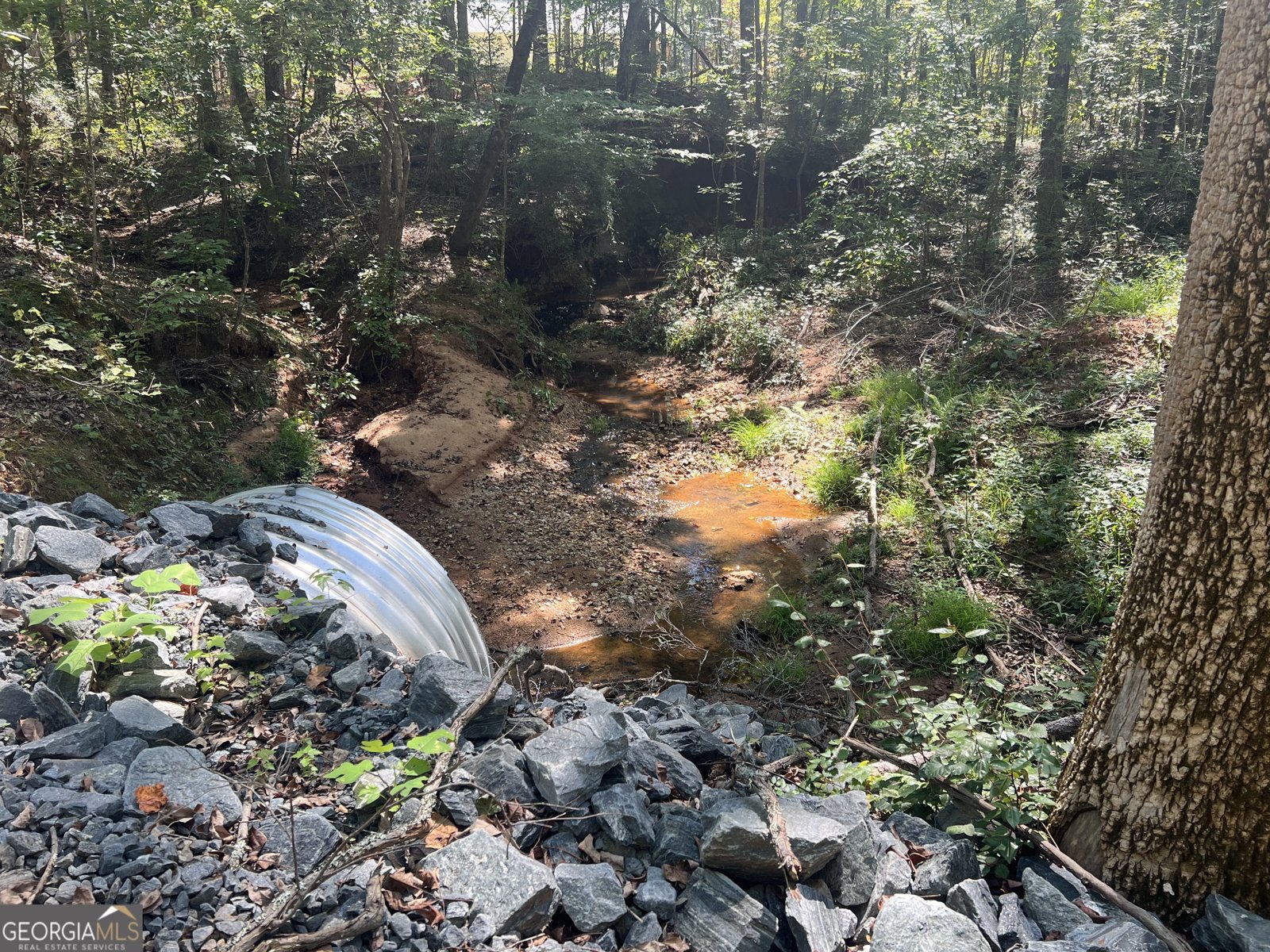 367 Cherokee Trail Forsyth - 27