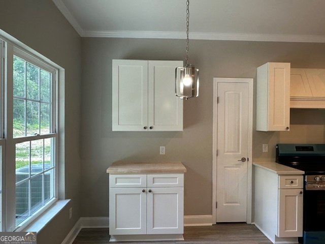 211 Camelia Drive Sylvania - Photo 7