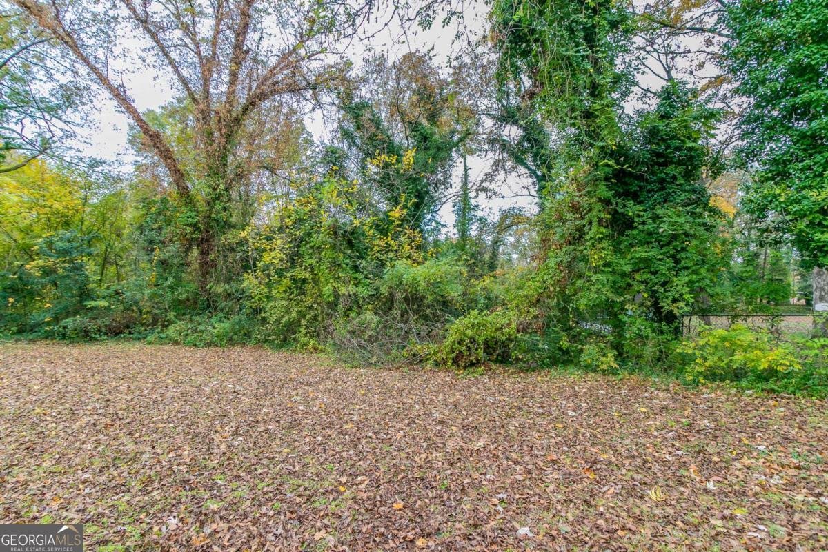 2229 Whites Mill Road Decatur - 22