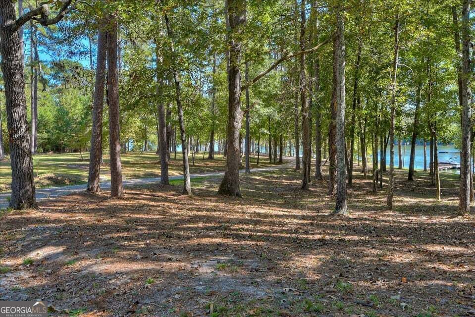 1030 West Lake Drive Lincolnton - 33