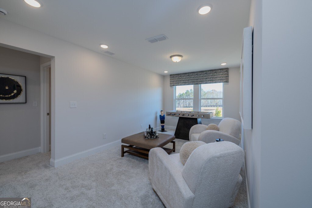 314 Red Wood Lane Hoschton - 23