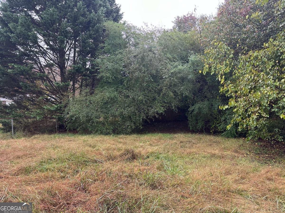 125 Belmont Farms Drive Ellenwood - 5