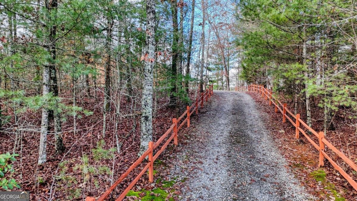 236 William Branch Road Morganton - 39