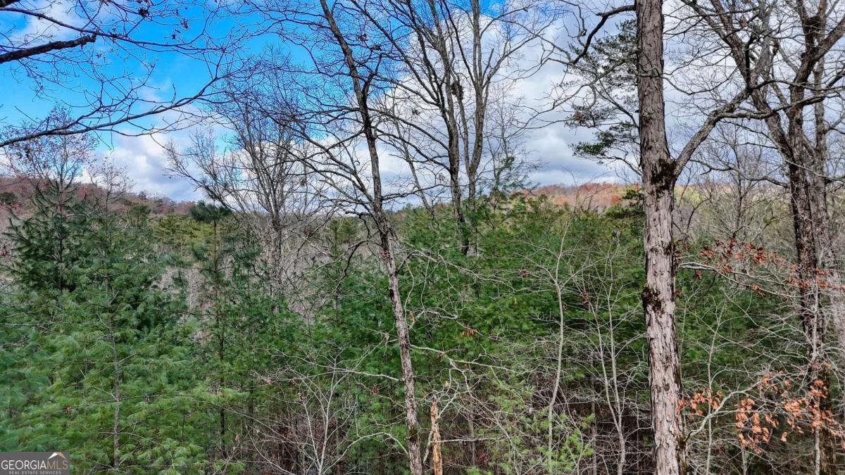236 William Branch Road Morganton - 40