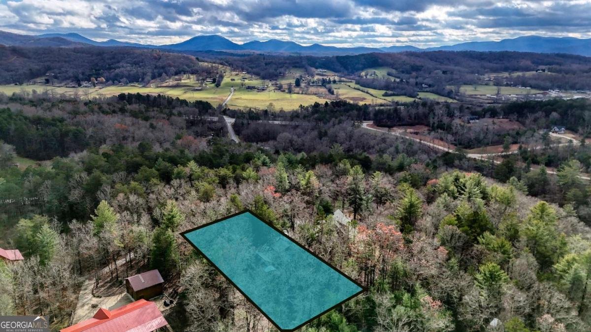 236 William Branch Road Morganton - 42
