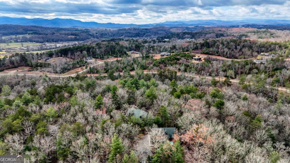 236 William Branch Road Morganton - 63