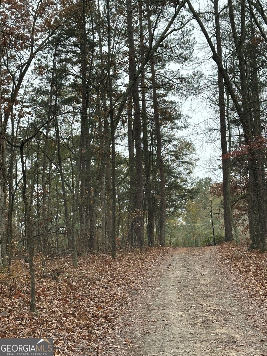 359 Cornish Mtn Road Oxford - 5