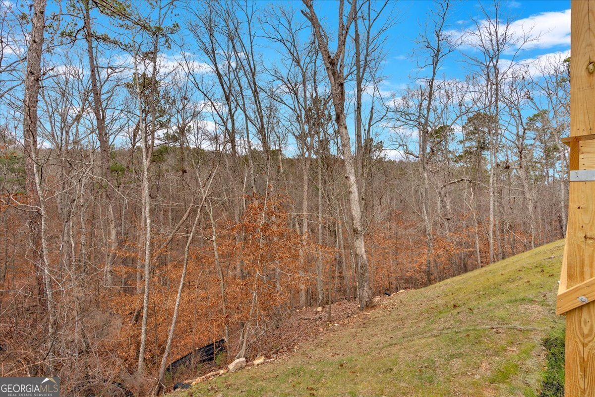 24 Bridgestone Way Cartersville - 42