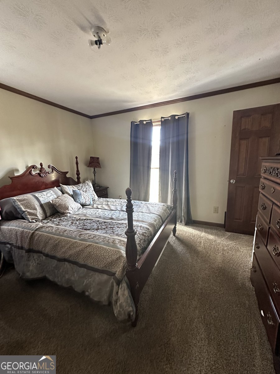 1824 Smith Store Road Covington - 19