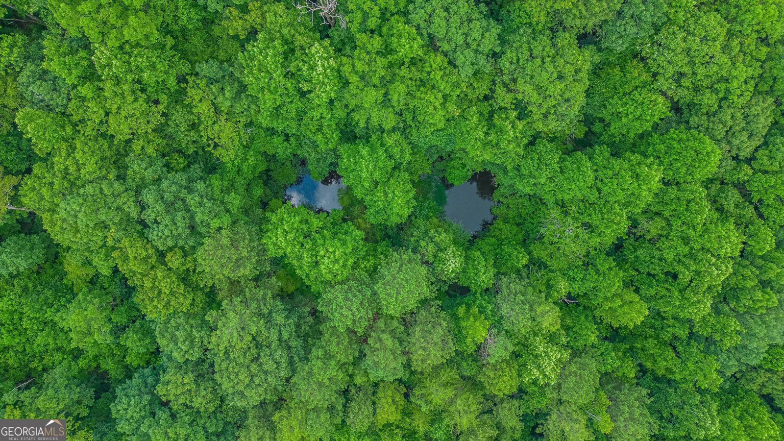 3559 Sequoia Road Gainesville - 1