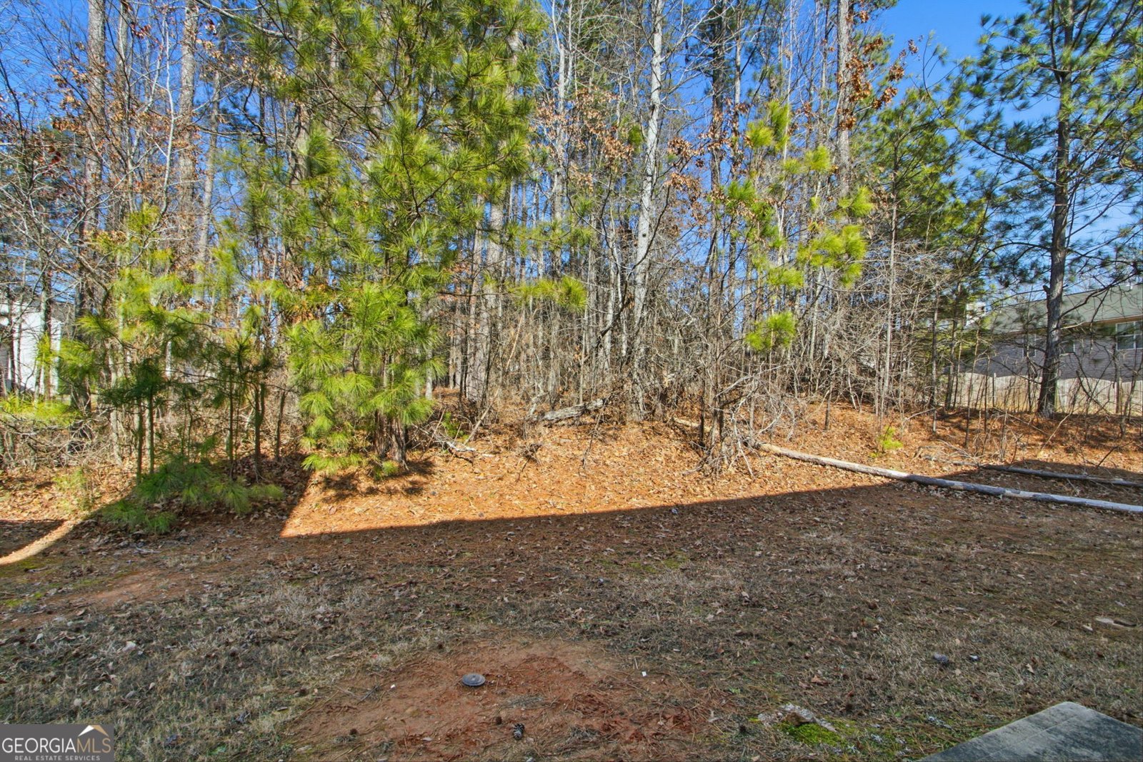 6415 Grey Fox Way Riverdale - Photo 34