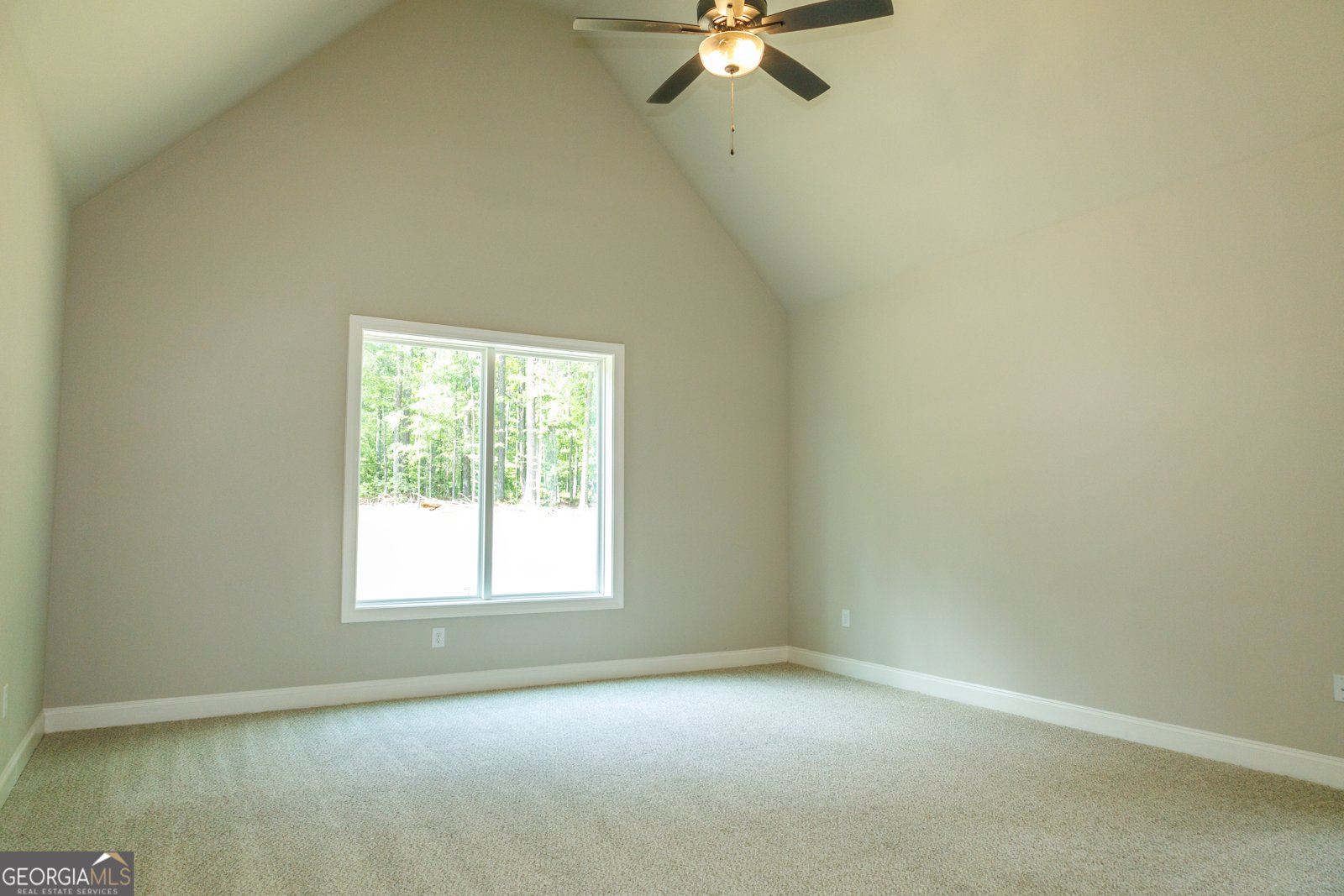 115 Old Mill Way Senoia - 12