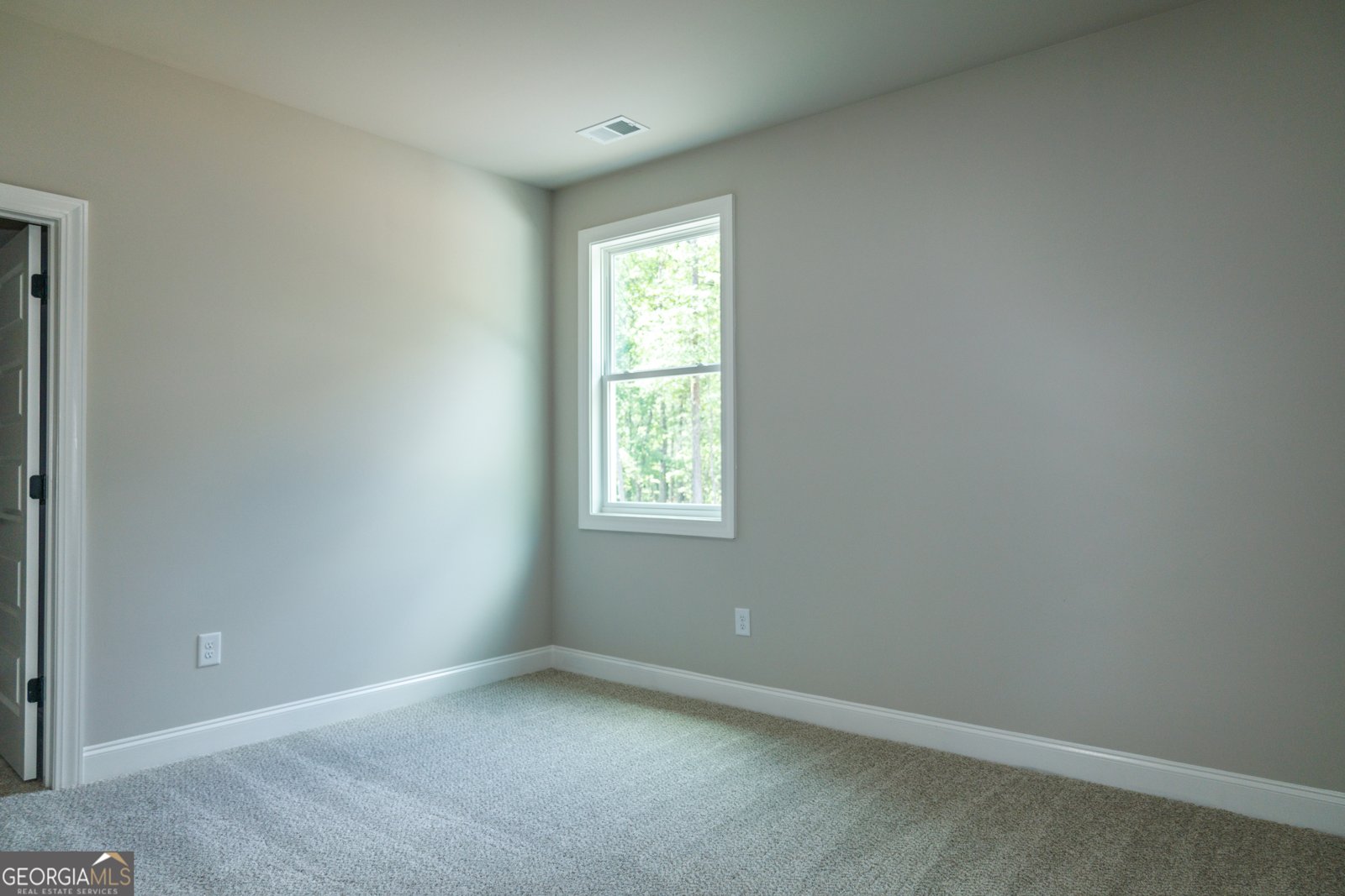115 Old Mill Way Senoia - 28