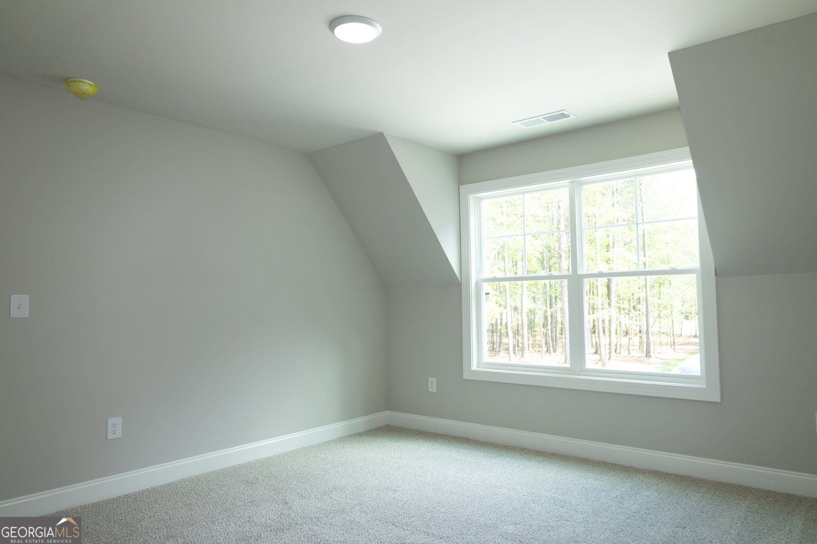 115 Old Mill Way Senoia - 29