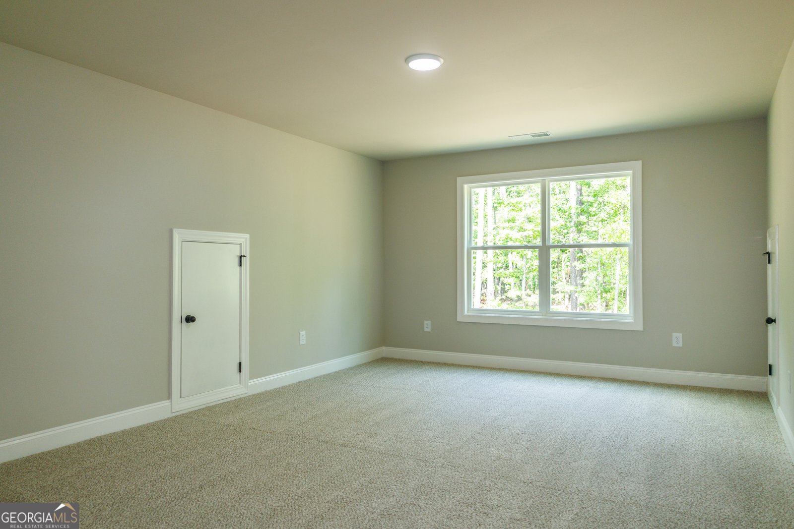115 Old Mill Way Senoia - 31