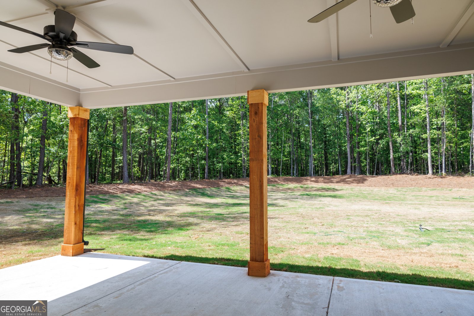 115 Old Mill Way Senoia - 33