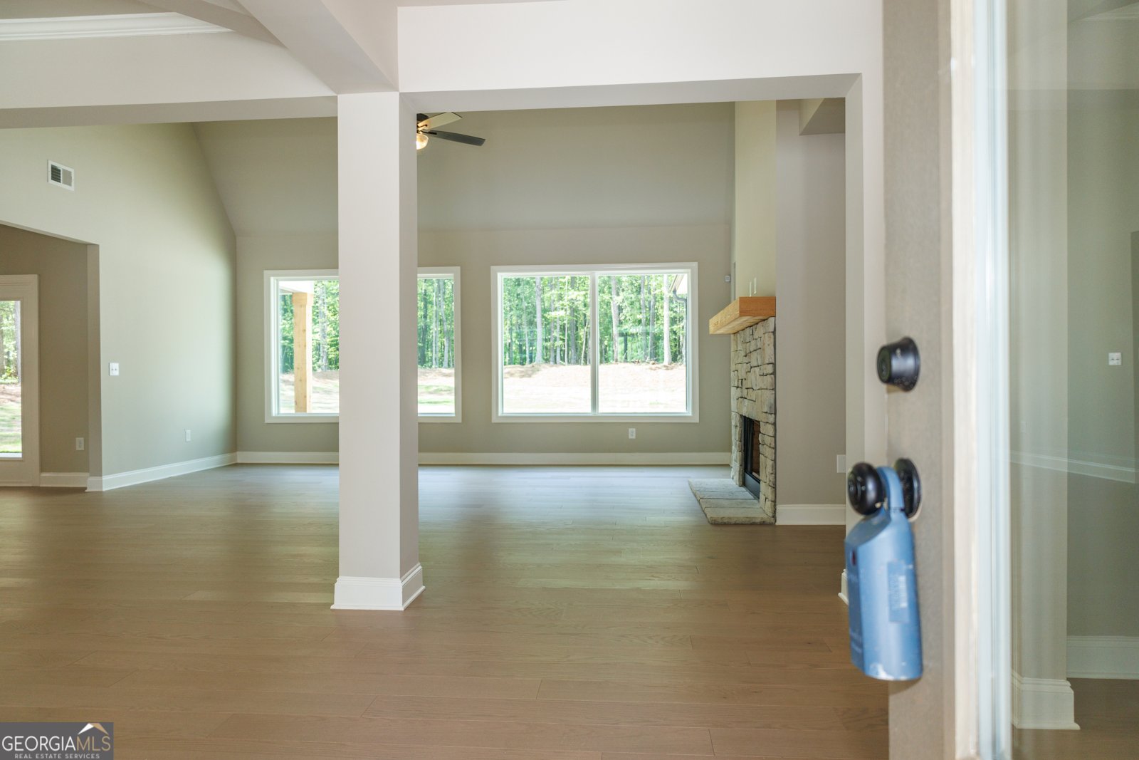 115 Old Mill Way Senoia - 4