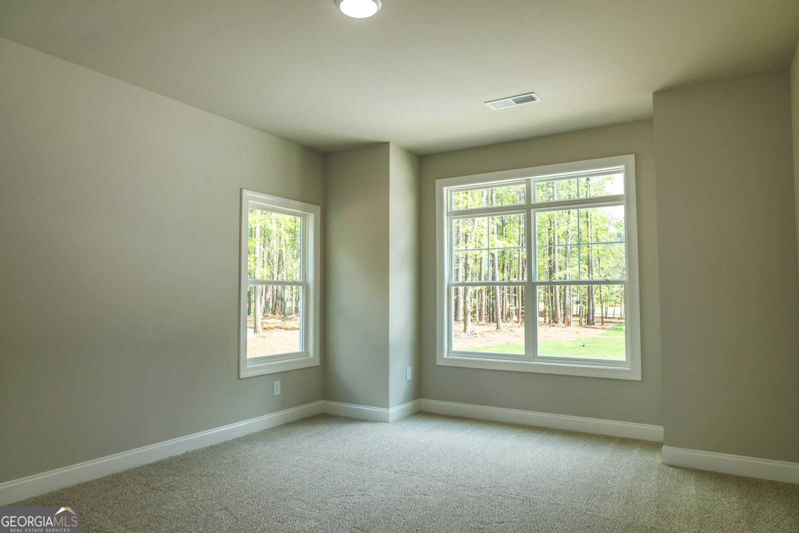 115 Old Mill Way Senoia - 8