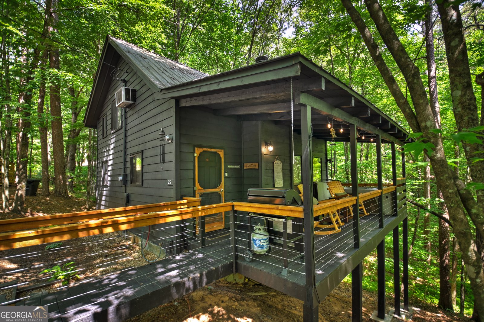25 Nickwasi Way Blue Ridge - 2