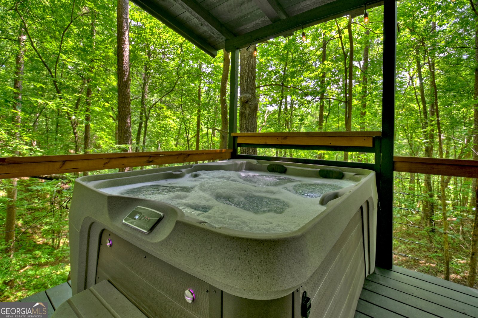 25 Nickwasi Way Blue Ridge - 3