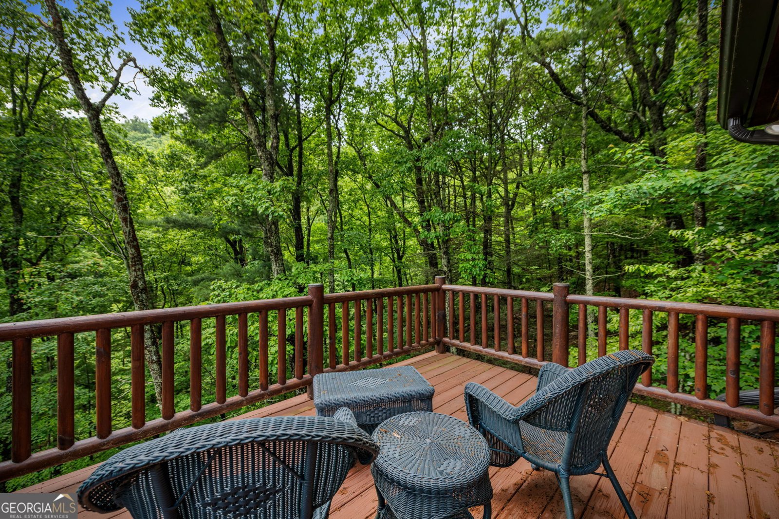 947 Mountain Oak Road Ellijay - 63