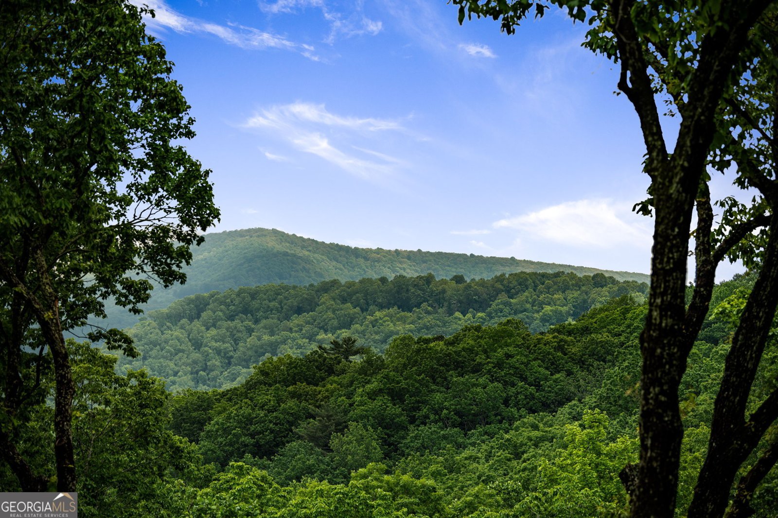 947 Mountain Oak Road Ellijay - 75