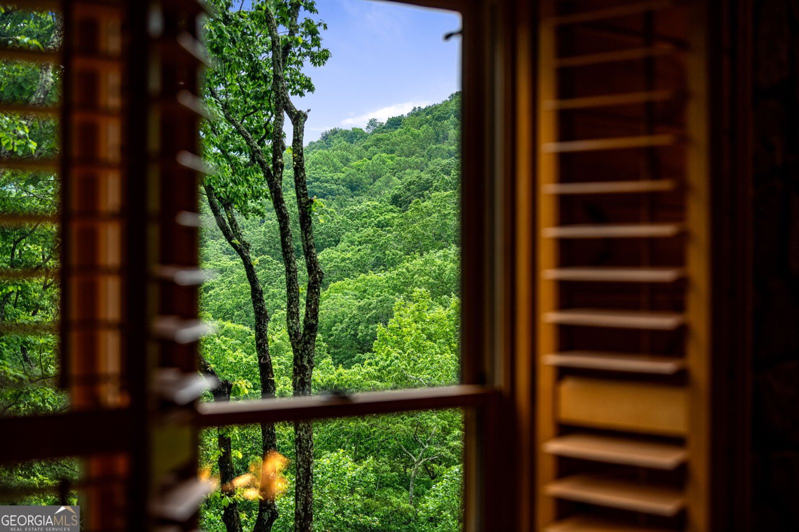 947 Mountain Oak Road Ellijay - 84